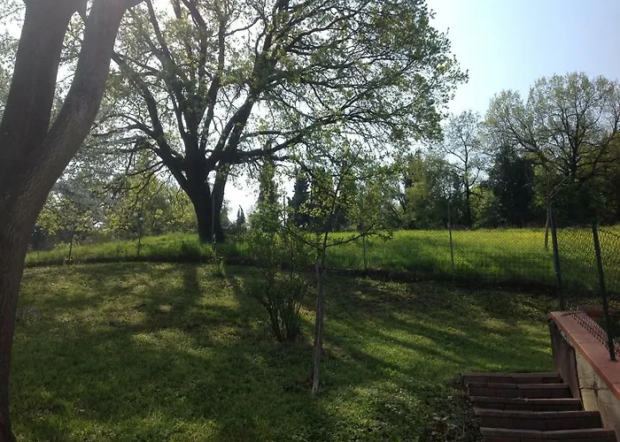 Smile 费奥拉诺·莫德内塞