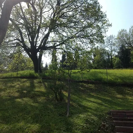 Smile Fiorano Modenese