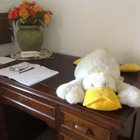 Smile Fiorano Modenese