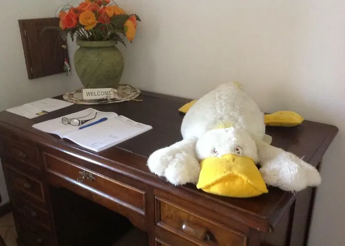 Smile Fiorano Modenese